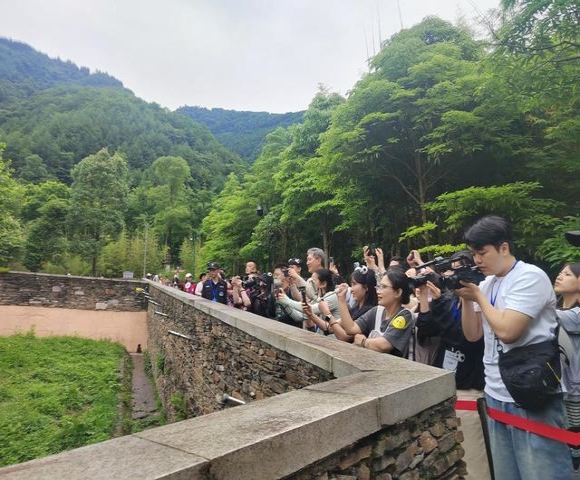 6월 23일 중국 자이언트판다 보호연구센터에서 푸바오를 바라보는 한국인 단체 여행객, 출처: 신화사